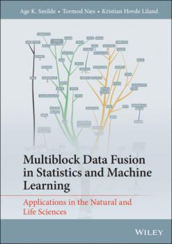 Multiblock Data Fusion in Statistics and Machine Learning - Tormod Næs 