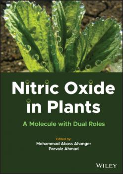 Nitric Oxide in Plants - Группа авторов 
