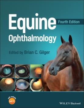 Equine Ophthalmology - Группа авторов 