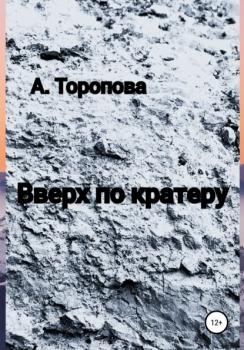 Вверх по кратеру - Анастасия Евгеньевна Торопова 