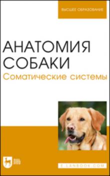 Анатомия собаки. Соматические системы - Н. В. Бабичев 