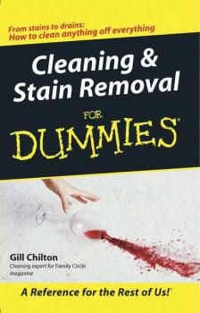 Cleaning and Stain Removal for Dummies - Gill  Chilton 