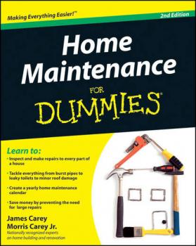 Home Maintenance For Dummies - James  Carey 