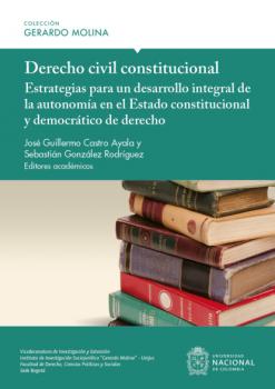 Derecho civil constitucional - José Guillermo Castro Ayala 