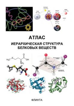 Атлас. Иерархическая структура белковых веществ - В. В. Литвяк 