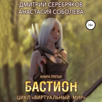Виртуальный мир 3. Бастион - Дмитрий Серебряков 