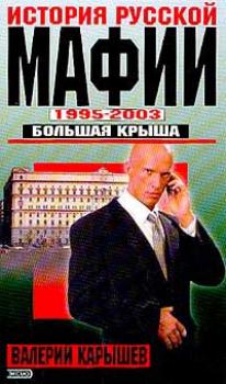 История Русской мафии 1995-2003. Большая крыша - Валерий Карышев 