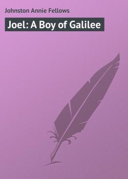 Joel: A Boy of Galilee - Johnston Annie Fellows 