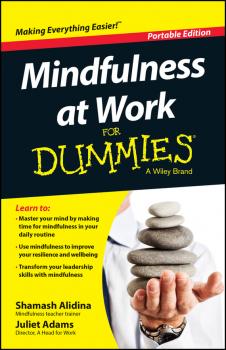 Mindfulness At Work For Dummies - Shamash  Alidina 