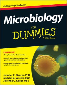 Microbiology For Dummies - Jennifer  Stearns 