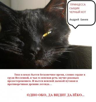 Принцесса, сыщик и черный кот - Андрей Бинев 