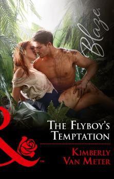 The Flyboy's Temptation - Kimberly Meter Van 