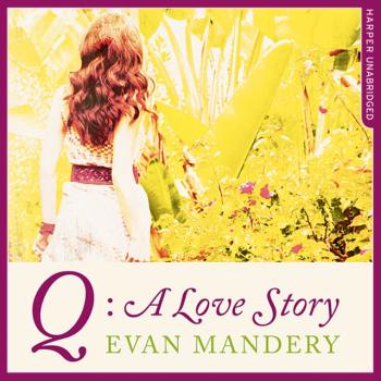 Q: A Love Story - Evan J. Mandery 