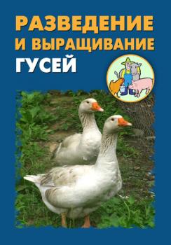 Разведение и выращивание гусей - Илья Мельников 