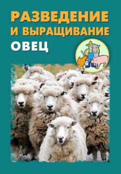 Разведение и выращивание овец - Илья Мельников 