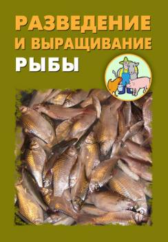 Разведение и выращивание рыбы - Илья Мельников 