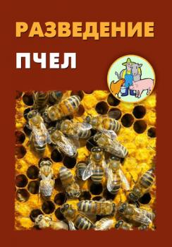 Разведение пчел - Илья Мельников 
