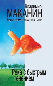 Река с быстрым течением (сборник) - Владимир Маканин 