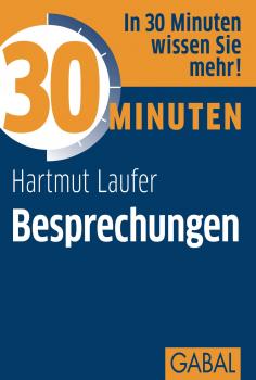 30 Minuten Besprechungen - Hartmut  Laufer 30 Minuten