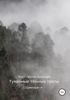 Туманные тёмные тропы - Константин Бояндин 