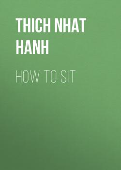 How to Sit - Thich Nhat Hanh 