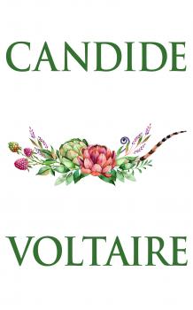 Candide - Voltaire 