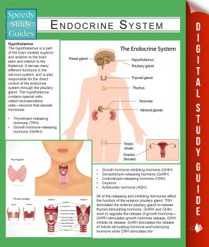 Endocrine System (Speedy Study Guides) - Speedy Publishing 