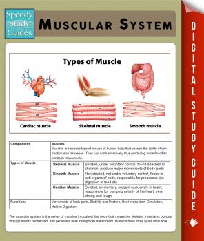 Muscular System (Speedy Study Guides) - Speedy Publishing 
