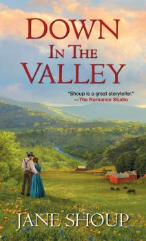 Down In the Valley - Jane Shoup Green Valley Series
