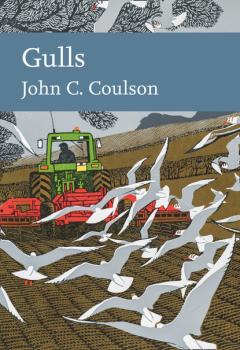 Gulls - Professor John C. Coulson Collins New Naturalist Library