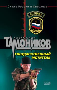 Государственный мститель - Александр Тамоников 