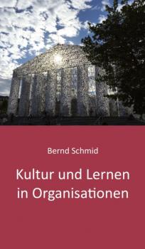 Kultur und Lernen in Organisationen - Bernd Schmid 