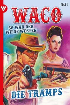 Waco 11 – Western - G.F. Waco Waco