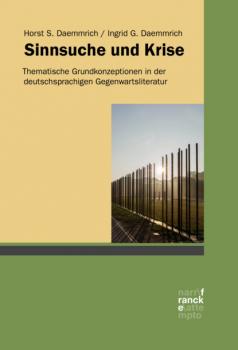 Sinnsuche und Krise - Horst S. Daemmrich 