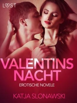Valentinsnacht: Erotische Novelle - Katja Slonawski LUST