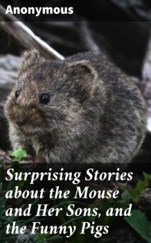 Surprising Stories about the Mouse and Her Sons, and the Funny Pigs - Unknown 