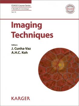 Imaging Techniques - Группа авторов ESASO Course Series