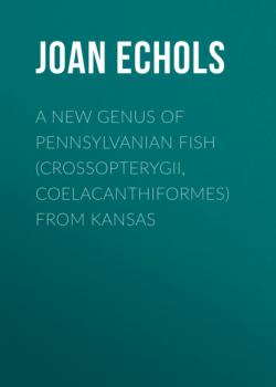 A New Genus of Pennsylvanian Fish (Crossopterygii, Coelacanthiformes) from Kansas - Joan Echols 