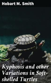 Kyphosis and other Variations in Soft-shelled Turtles - Hobart M. Smith 