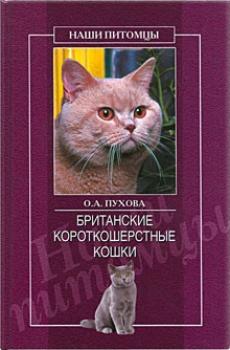 Британские короткошерстные кошки - Олеся Пухова Всё о кошках