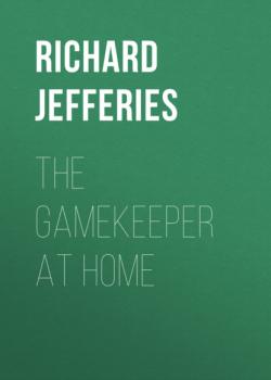 The Gamekeeper at Home - Richard  Jefferies 