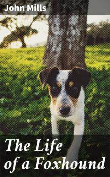 The Life of a Foxhound - John  Mills 