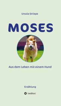 Moses - Ursula Striepe 